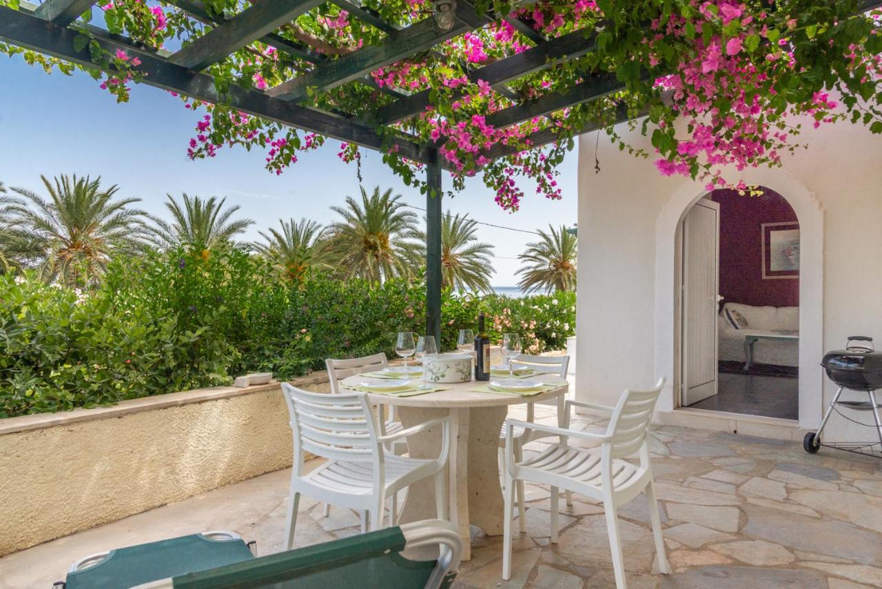 Bougainvillea House In Crete Sitia  Exteriér fotografie