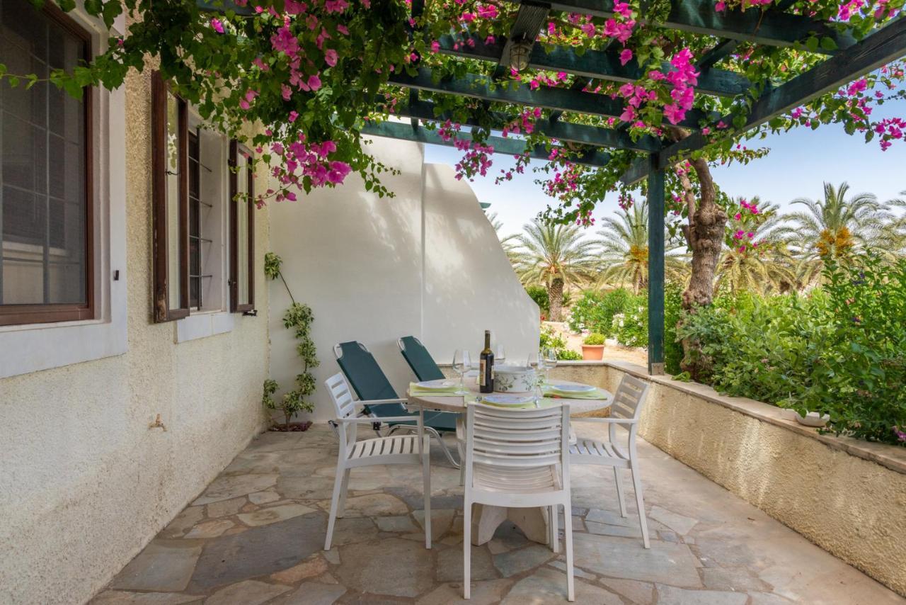 Bougainvillea House In Crete Sitia  Exteriér fotografie